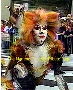 from the Today Show when Macavity and Memory was performed- image provided by Victoria the White Cat