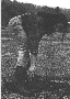 a poor scan of a poor photocopy from the People magazine article... if you can get better pictures please email me